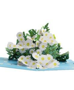 Pop Up 3D Daisy Flowers Blank Greeting Card