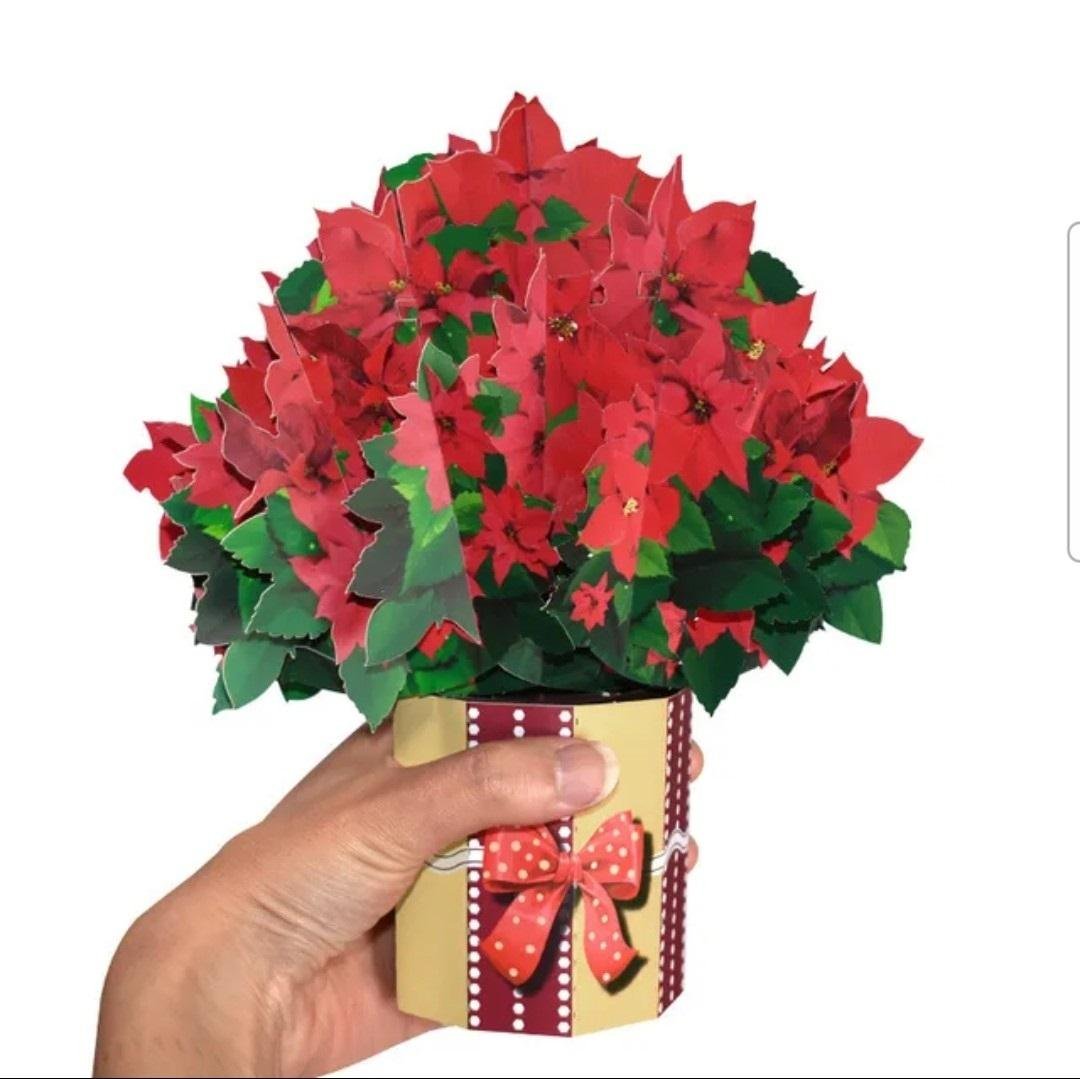 Pop Up 3D Christmas Card Poinsettia Bouquet